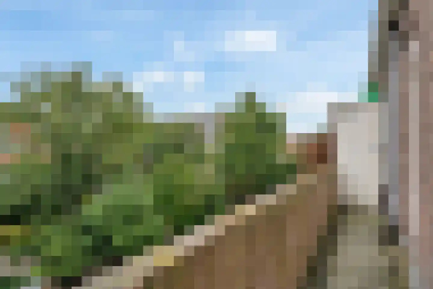 Renswoudelaan 78 Den Haag thumbnail 29