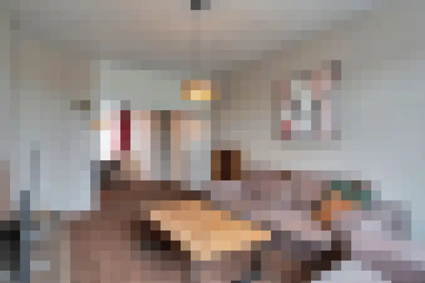 Renswoudelaan 78 Den Haag thumbnail 5