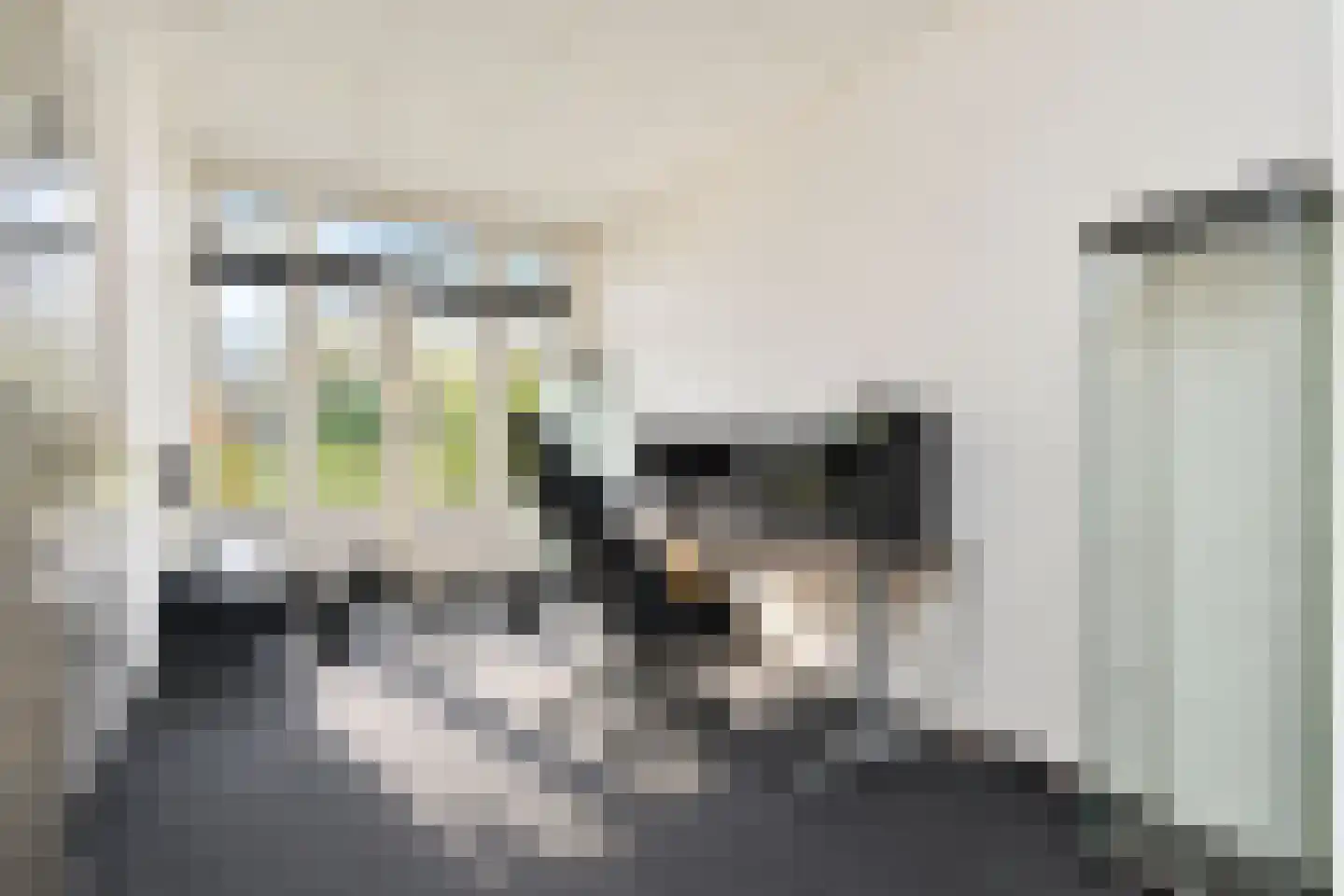Renswoudelaan 81 Den Haag thumbnail 11