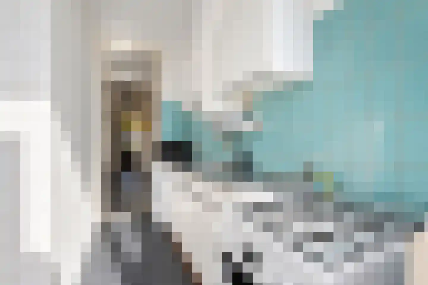 Renswoudelaan 81 Den Haag thumbnail 20