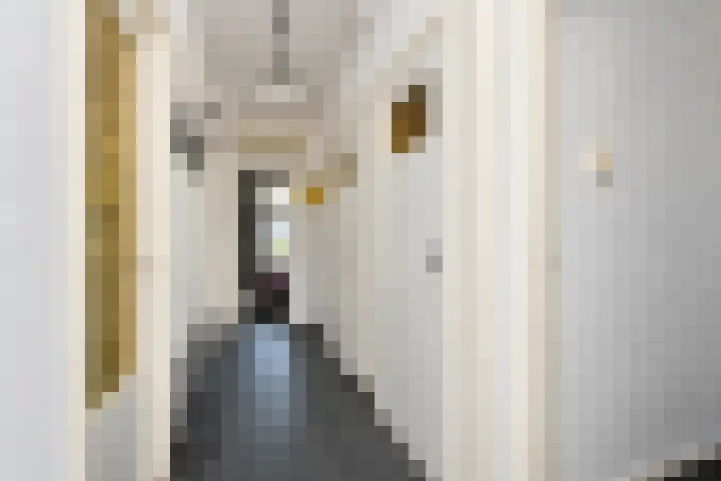 Renswoudelaan 81 Den Haag thumbnail 22