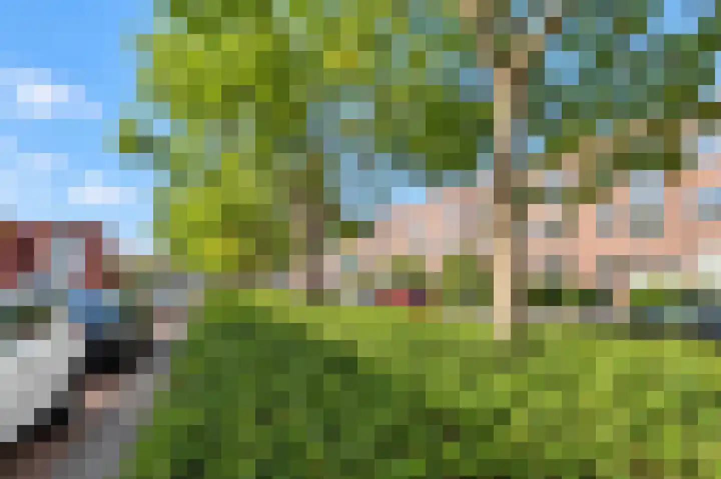 Renswoudelaan 81 Den Haag thumbnail 30