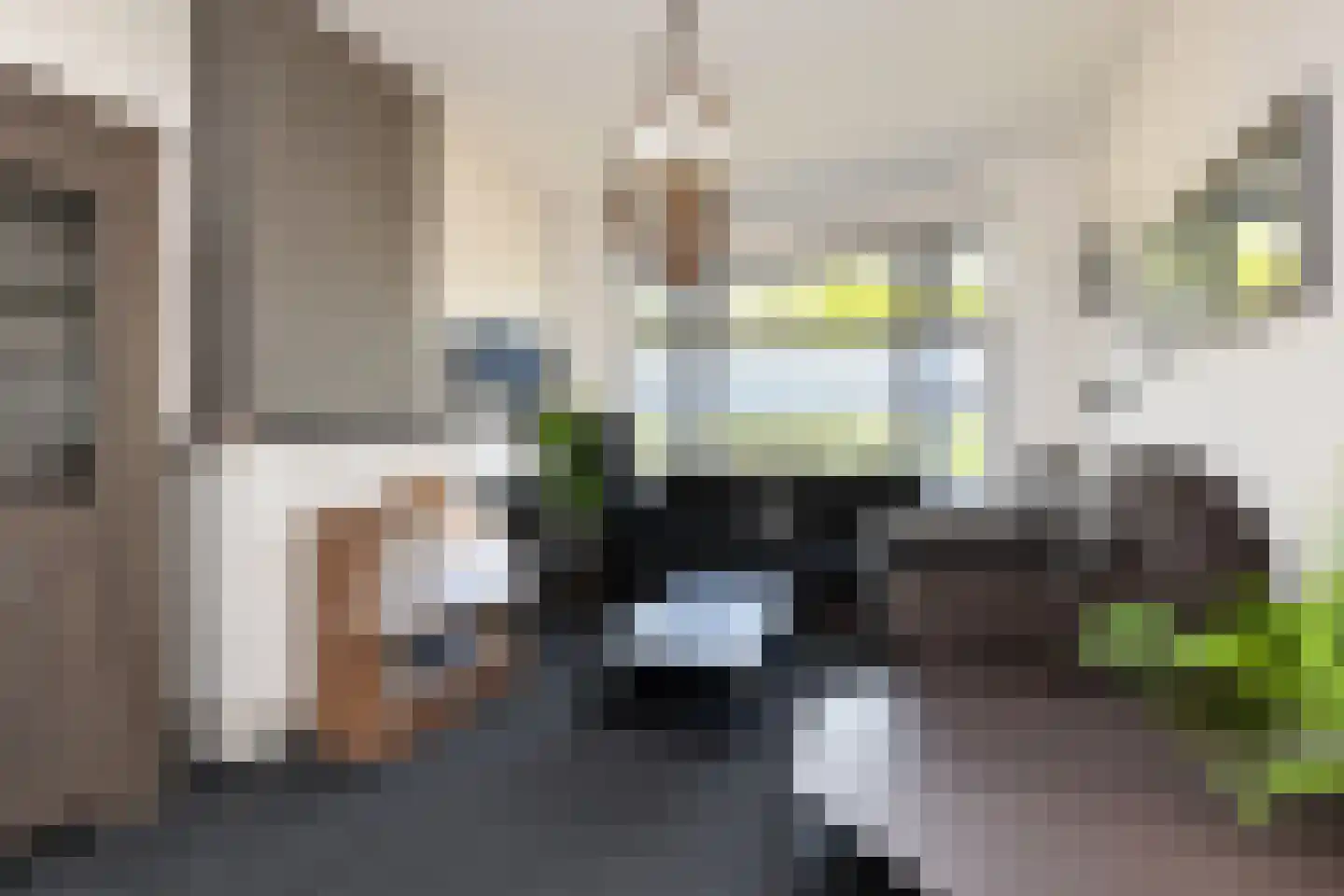 Renswoudelaan 81 Den Haag thumbnail 4