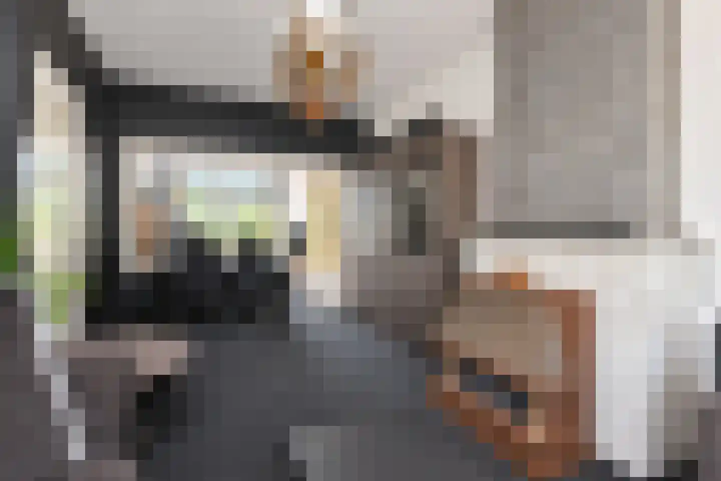 Renswoudelaan 81 Den Haag thumbnail 7