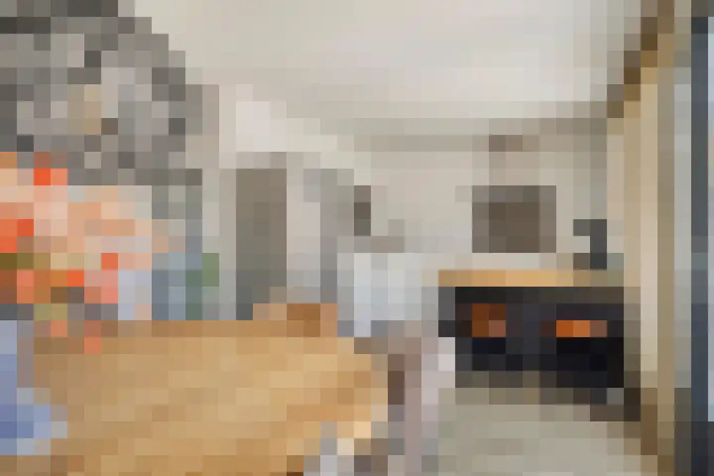 Renswoudestraat 44 Tilburg thumbnail 17