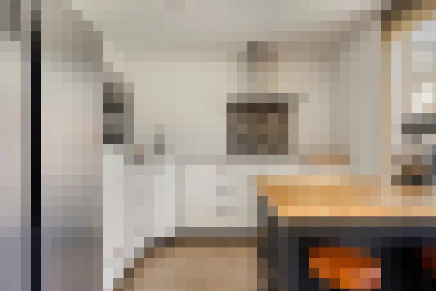 Renswoudestraat 44 Tilburg thumbnail 19
