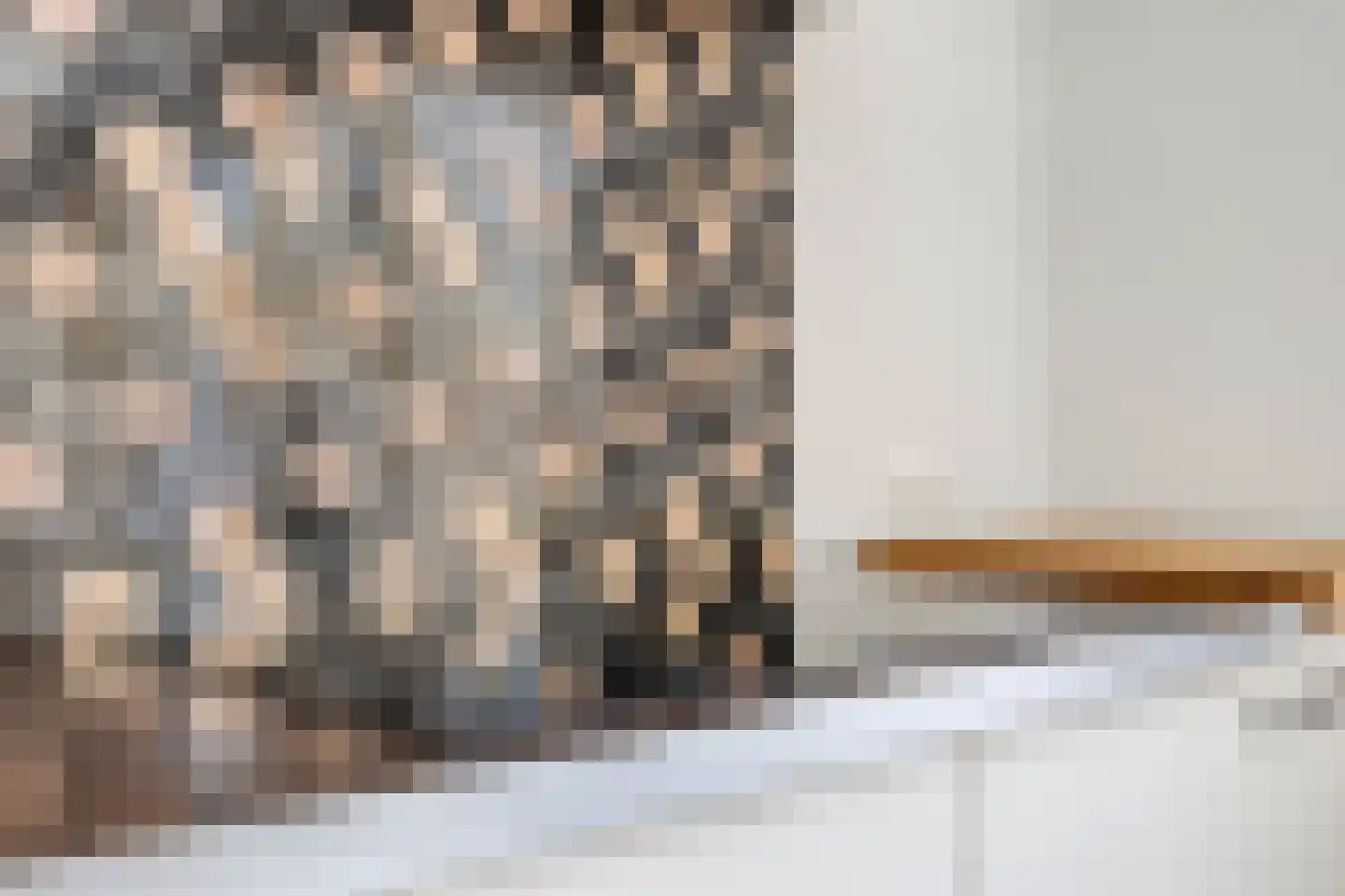 Renswoudestraat 44 Tilburg thumbnail 21