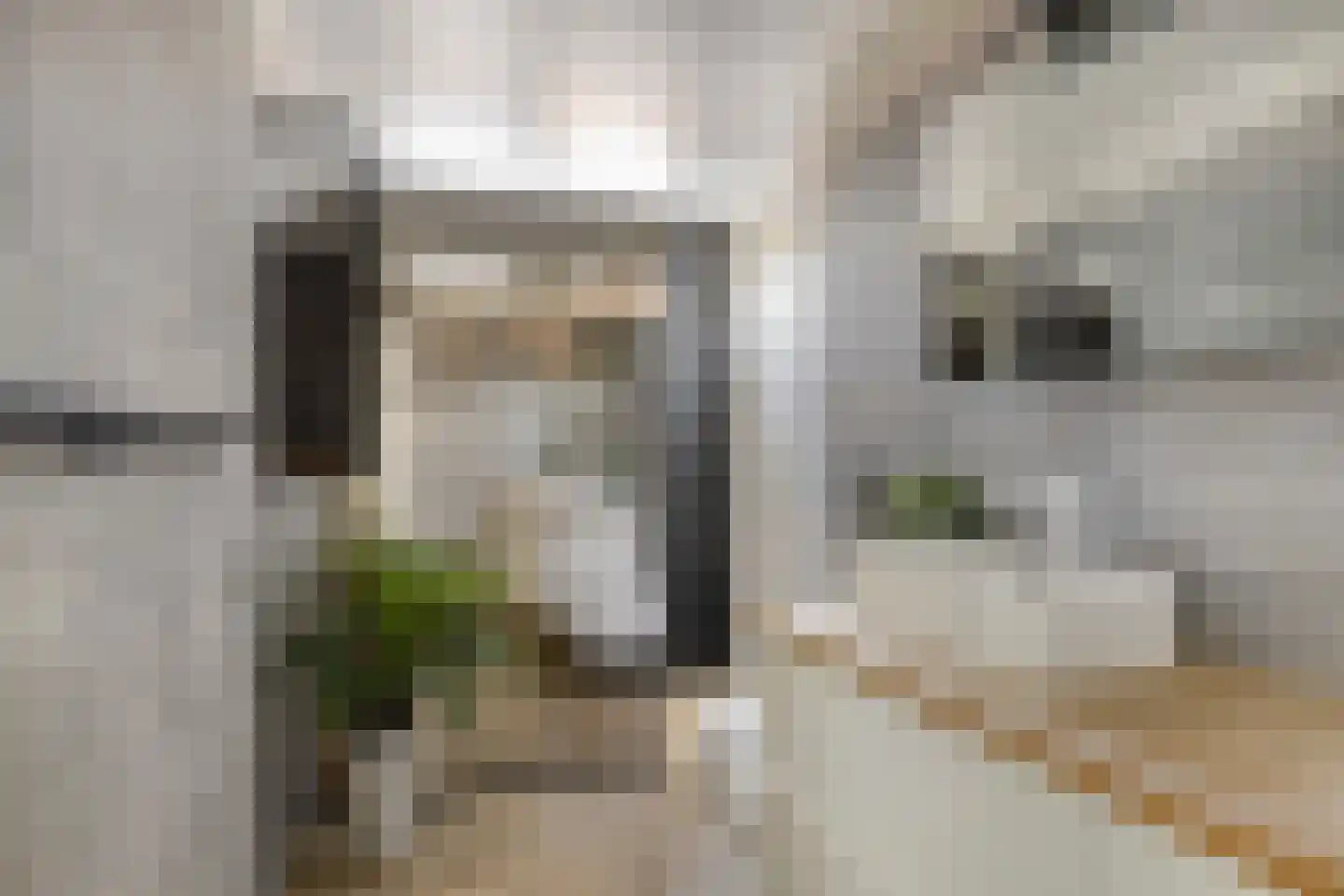 Renswoudestraat 44 Tilburg thumbnail 31