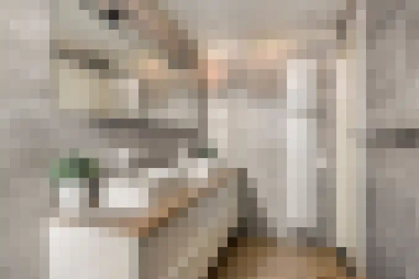 Renswoudestraat 44 Tilburg thumbnail 34