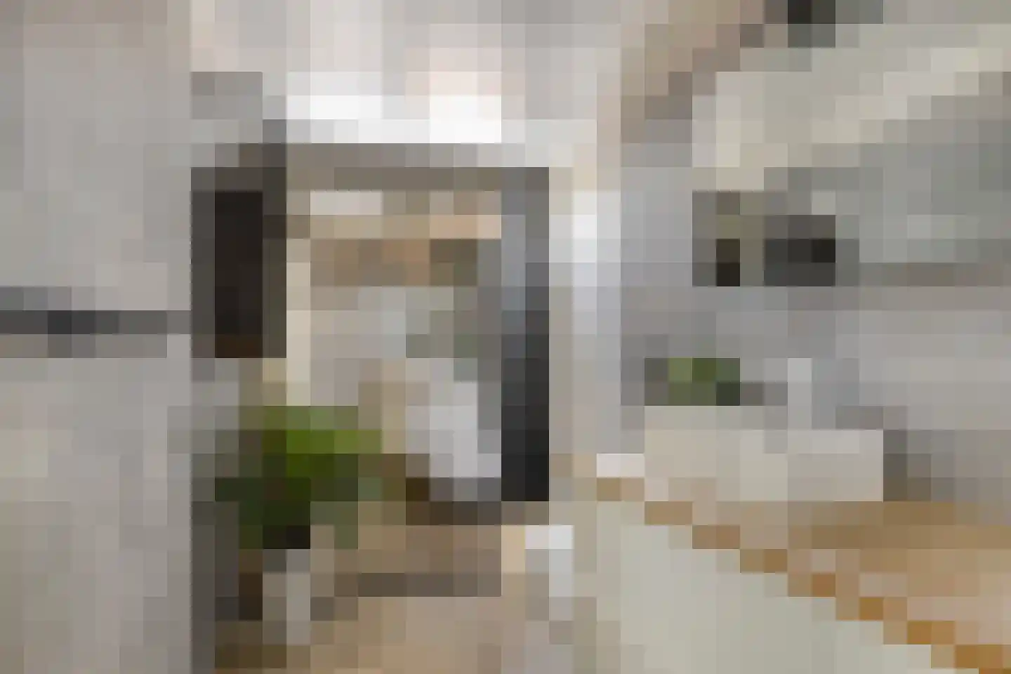 Renswoudestraat 44 Tilburg thumbnail 4
