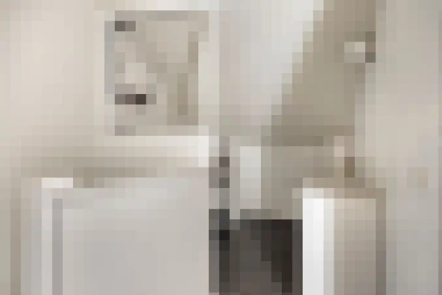 Renswoudestraat 44 Tilburg thumbnail 40