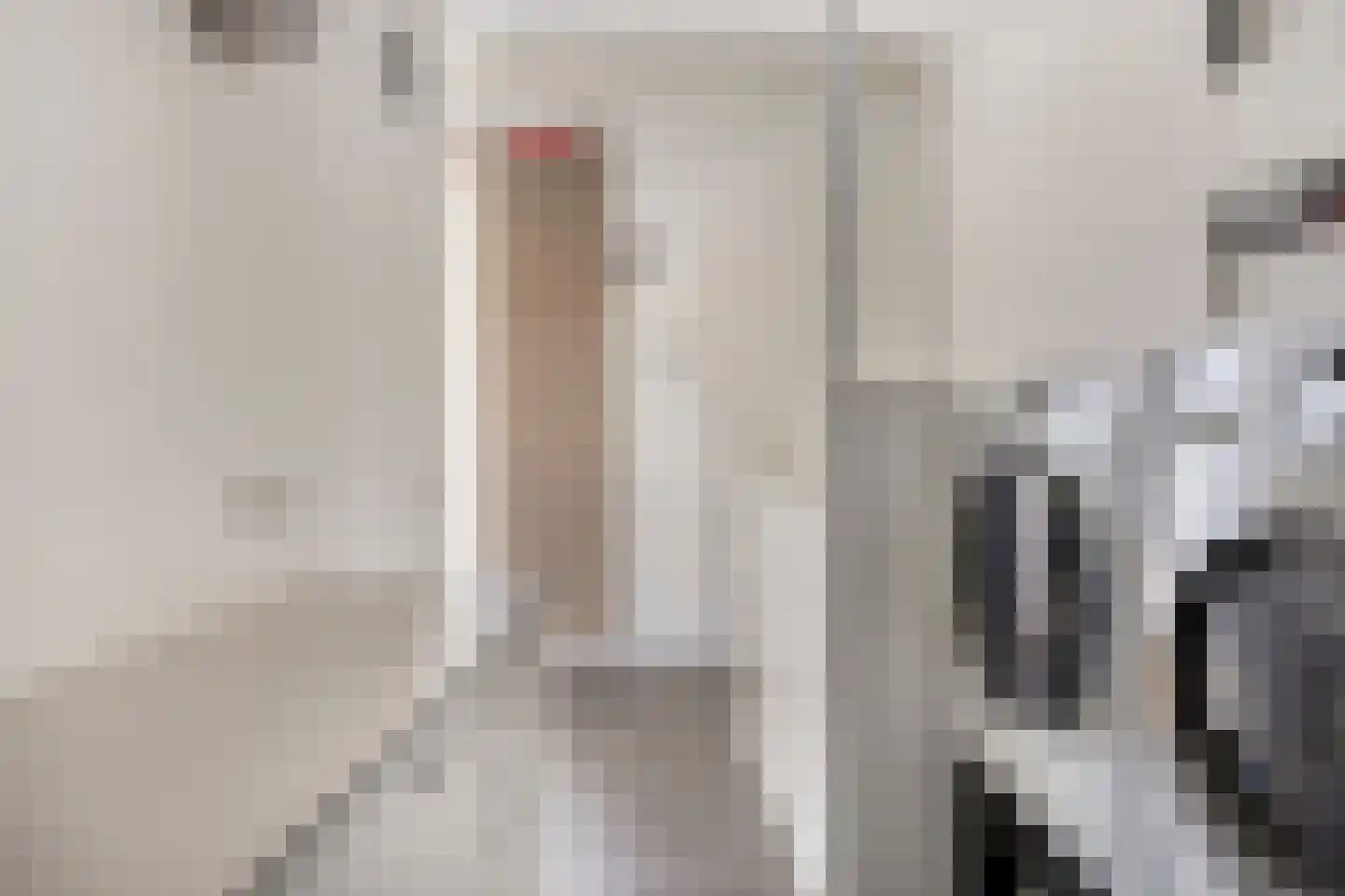 Renswoudestraat 44 Tilburg thumbnail 41