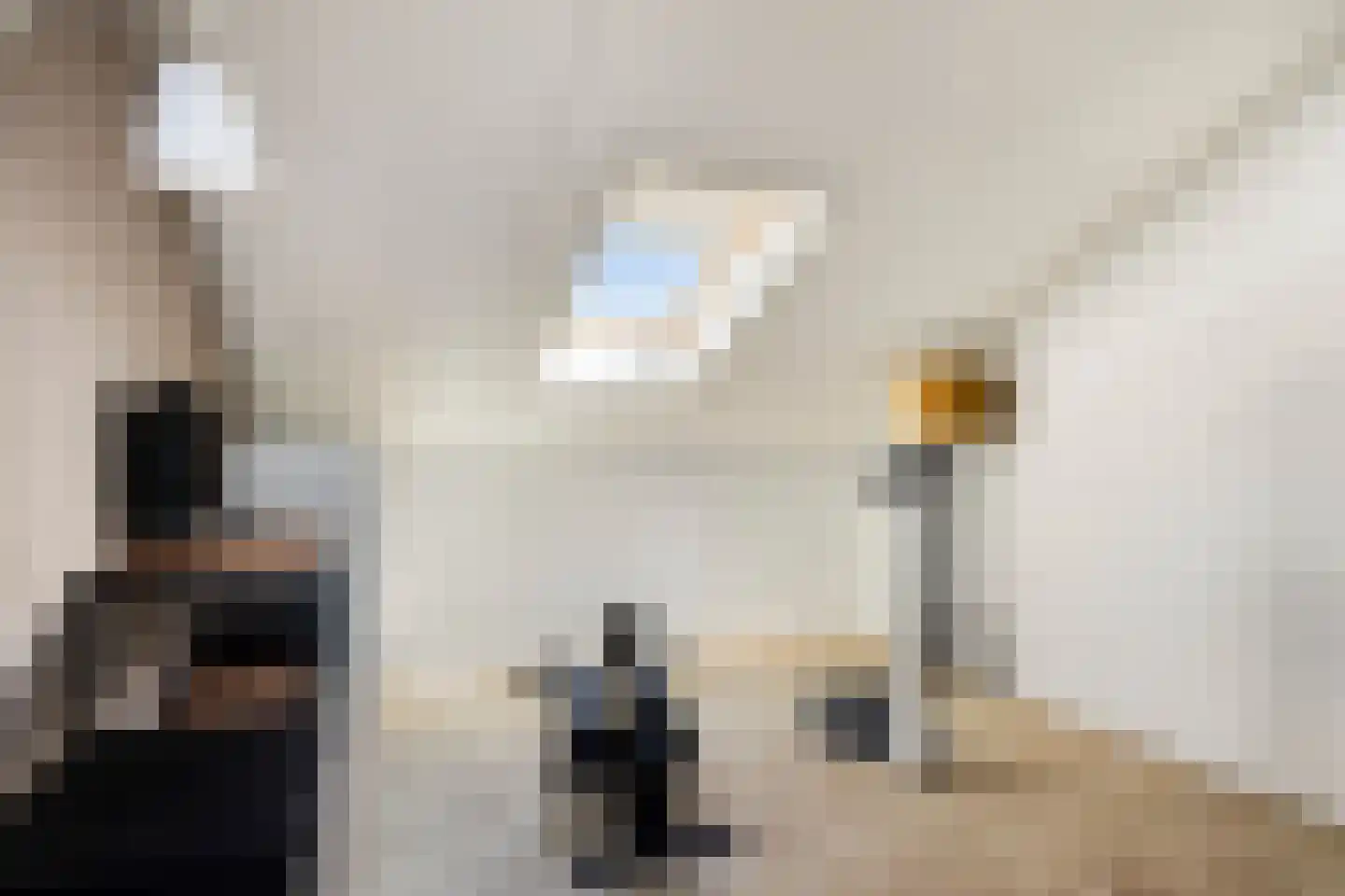 Renswoudestraat 44 Tilburg thumbnail 43