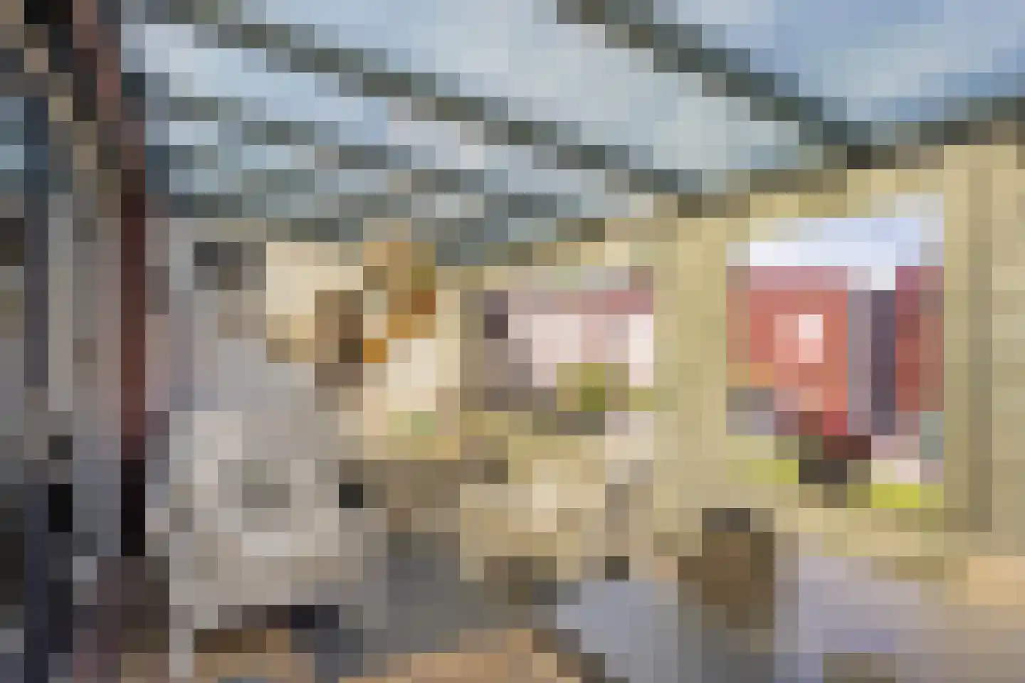 Renswoudestraat 44 Tilburg thumbnail 48