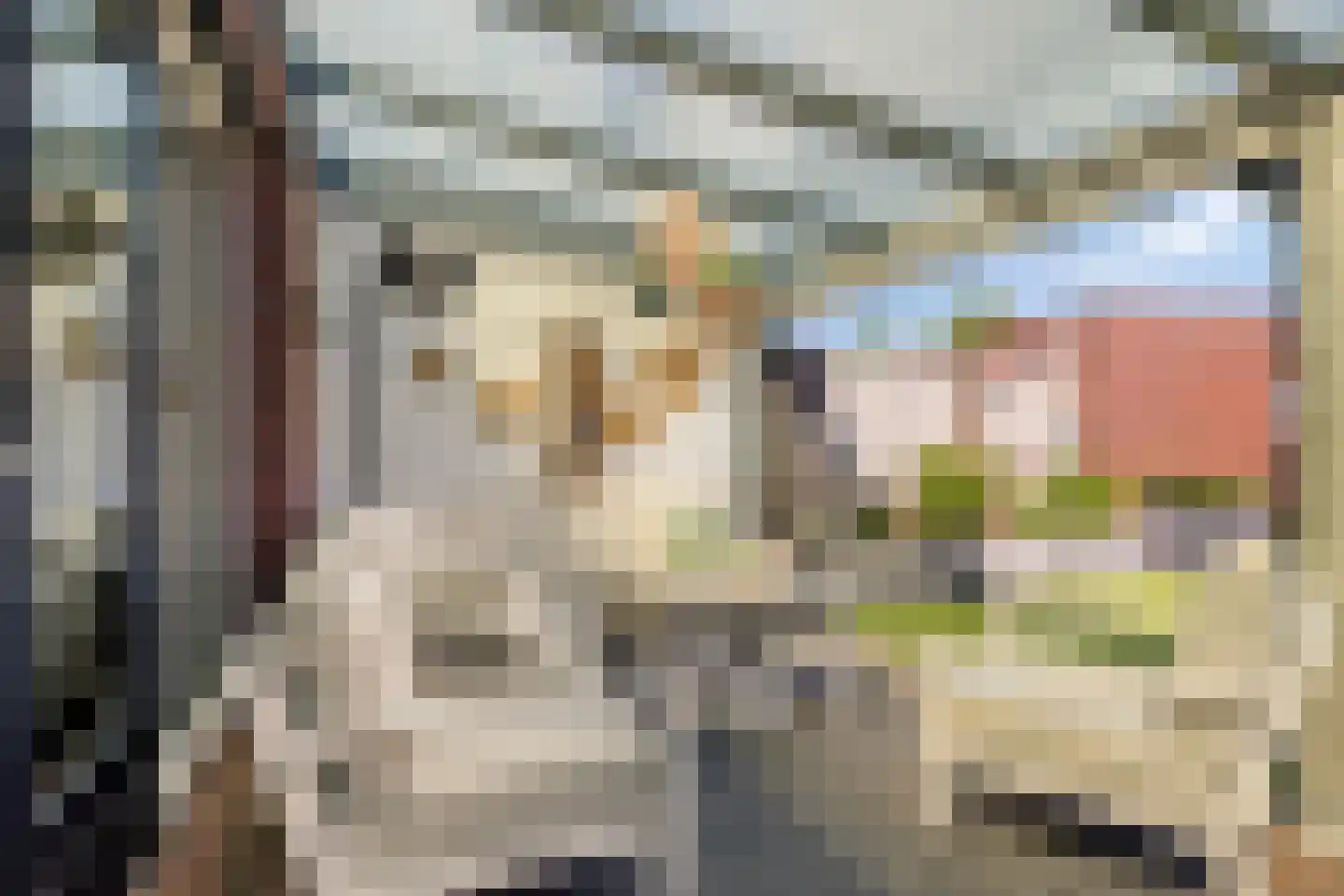 Renswoudestraat 44 Tilburg thumbnail 49