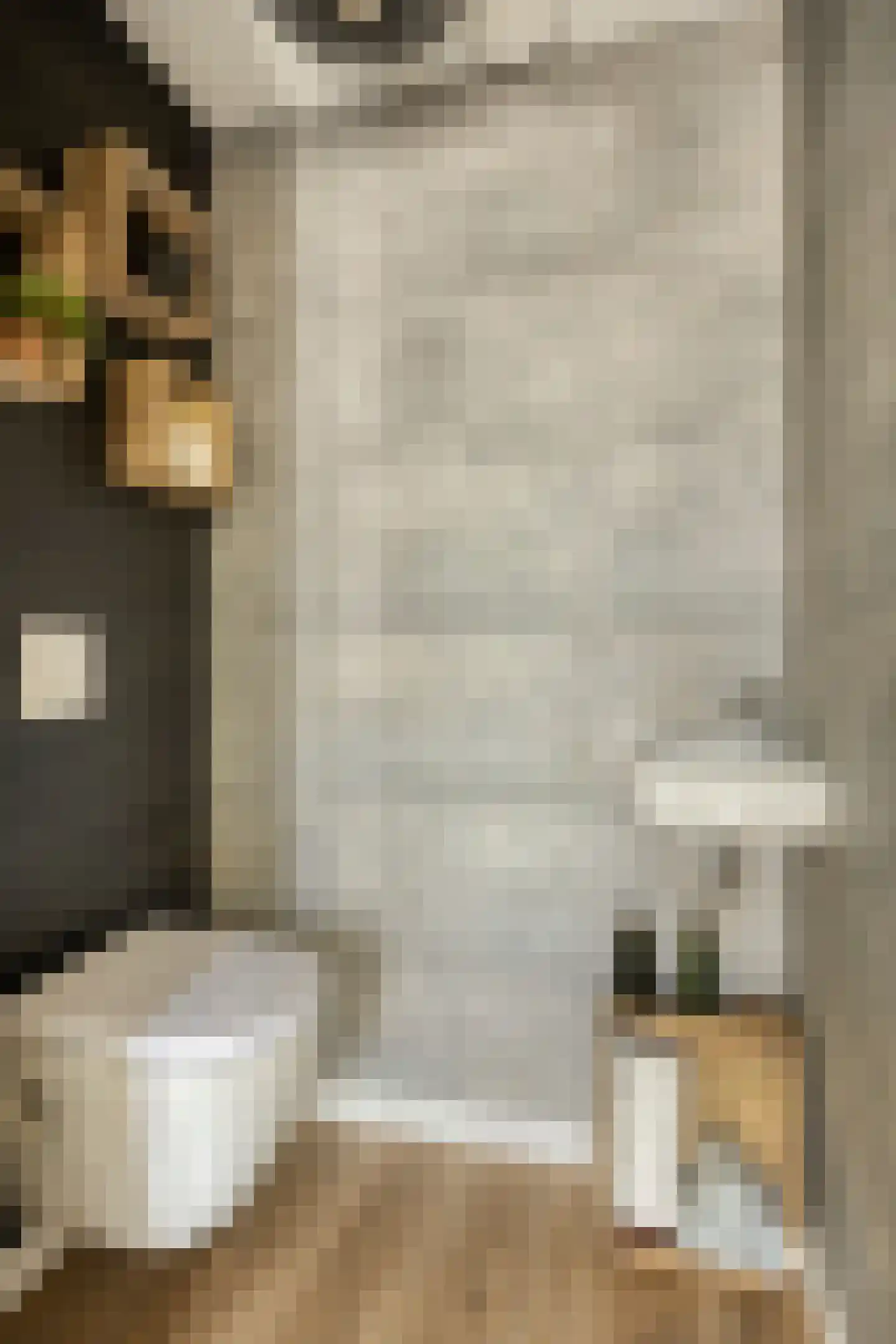 Renswoudestraat 44 Tilburg thumbnail 7