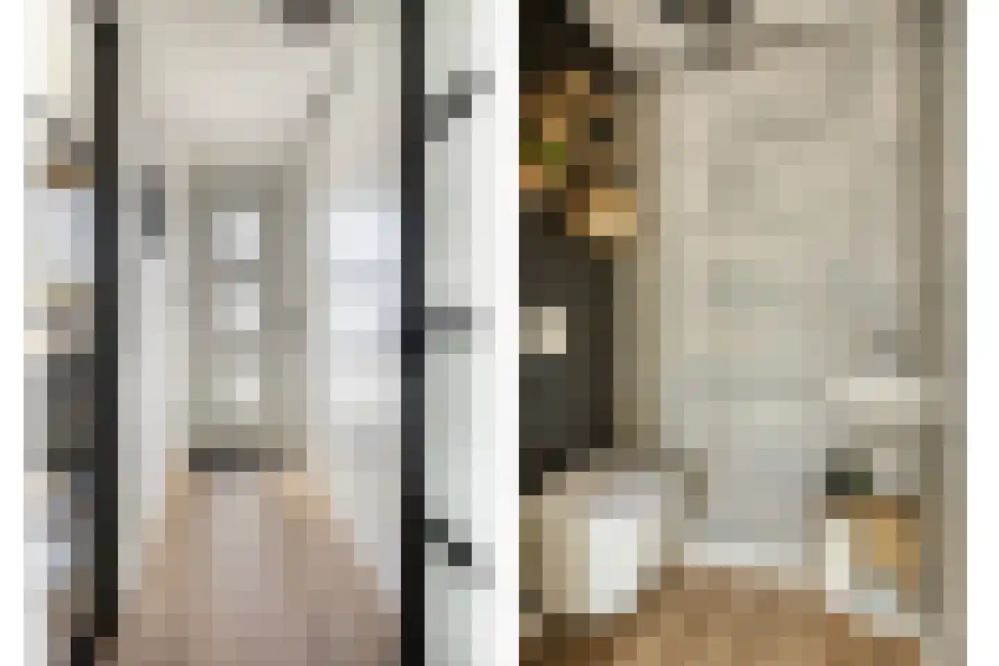 Renswoudestraat 44 Tilburg thumbnail 9