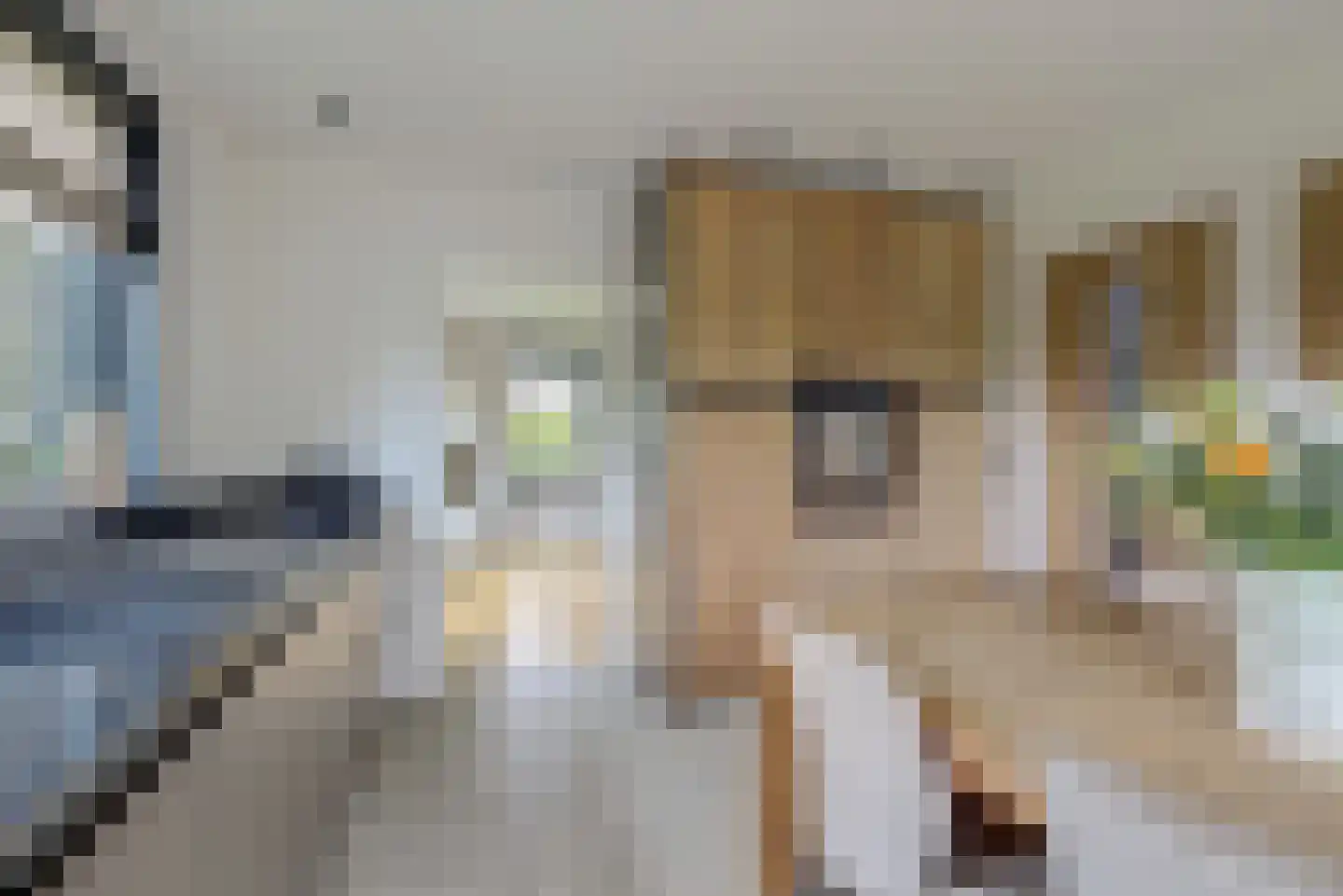 Renswoudsestraatweg 34 Lunteren thumbnail 15