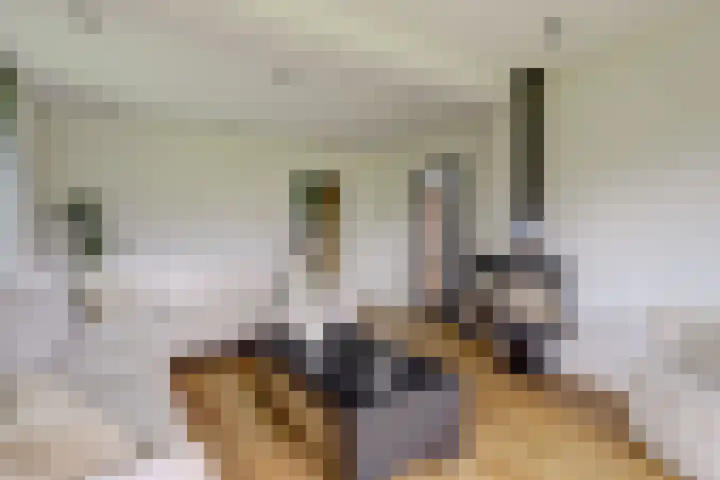 Renswoudsestraatweg 34 Lunteren thumbnail 16