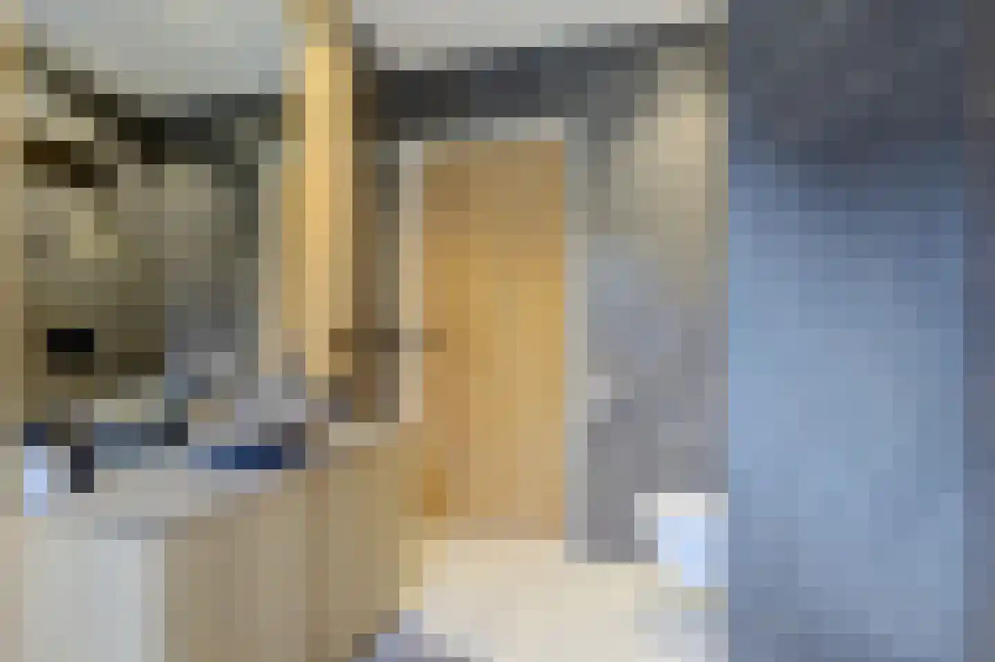 Renswoudsestraatweg 34 Lunteren thumbnail 20