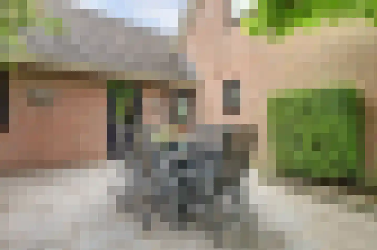 Renswoudsestraatweg 34 Lunteren thumbnail 35