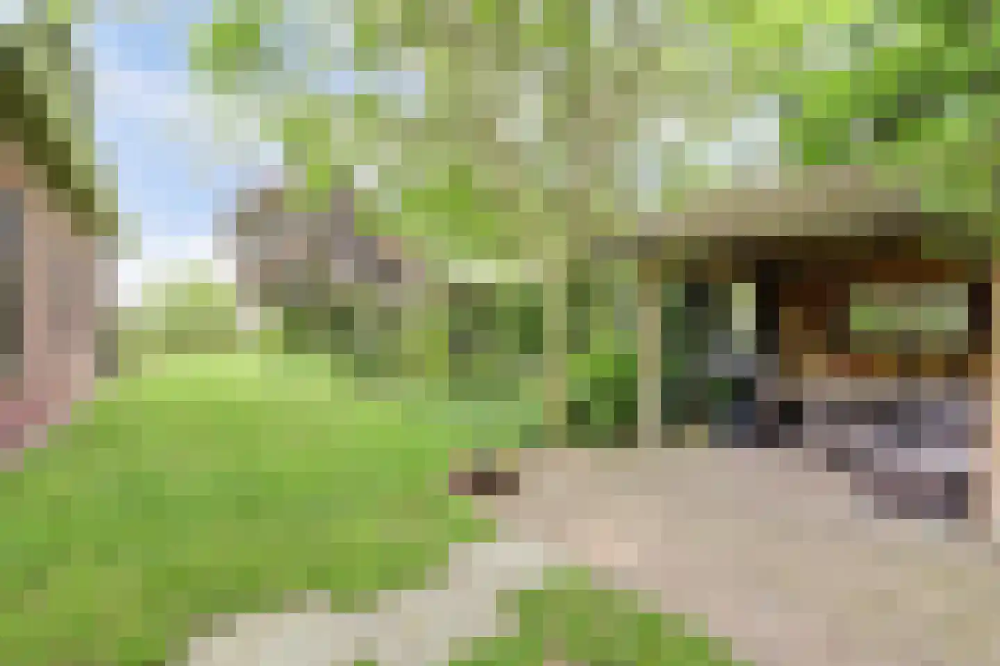 Renswoudsestraatweg 34 Lunteren thumbnail 36
