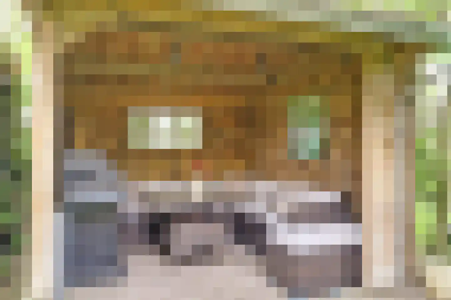 Renswoudsestraatweg 34 Lunteren thumbnail 37