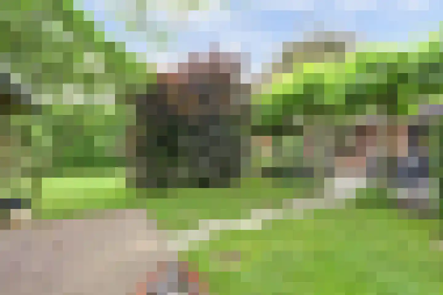 Renswoudsestraatweg 34 Lunteren thumbnail 38