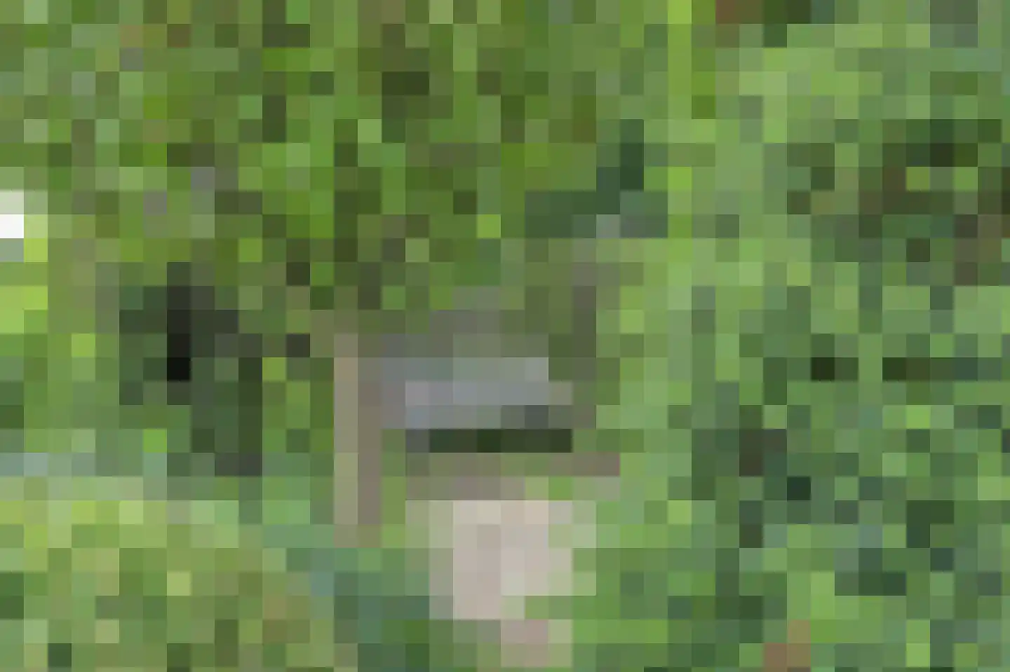 Renswoudsestraatweg 34 Lunteren thumbnail 41