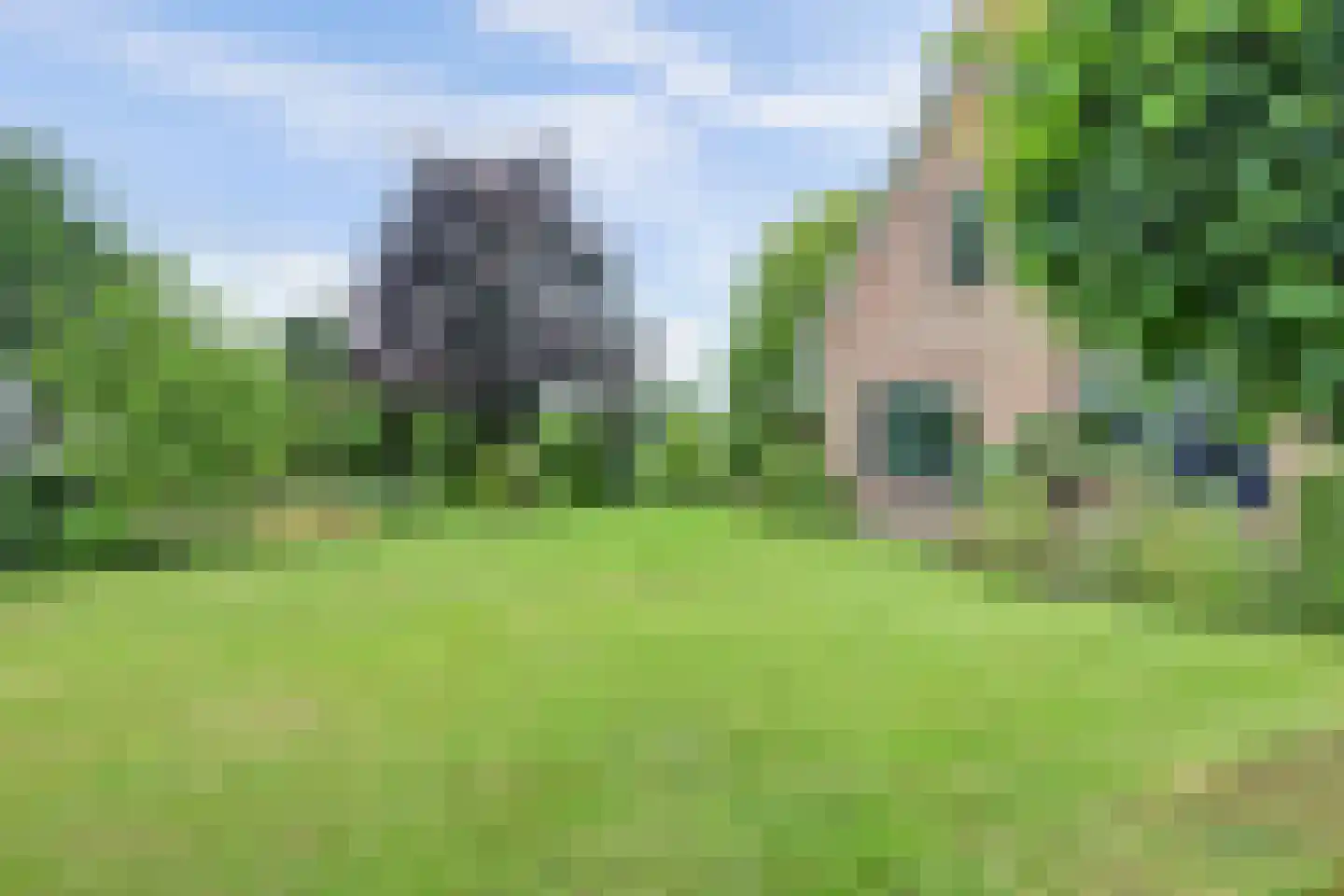 Renswoudsestraatweg 34 Lunteren thumbnail 42