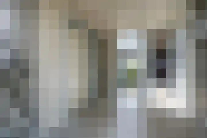 Rentambt 14 Elst thumbnail 10