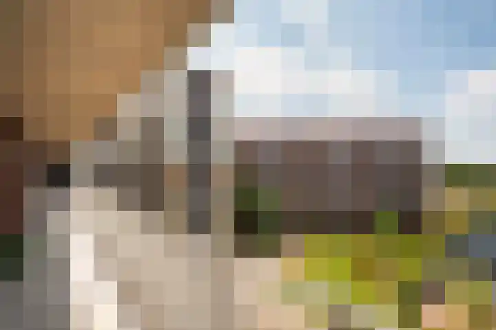 Rentambt 14 Elst thumbnail 11