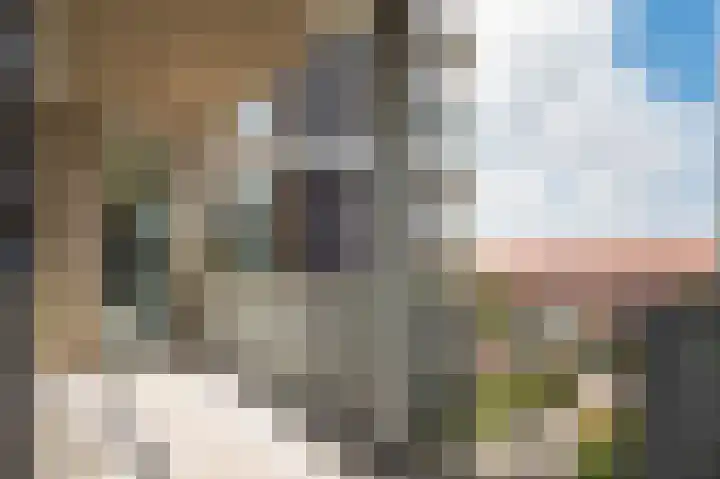 Rentambt 14 Elst thumbnail 12