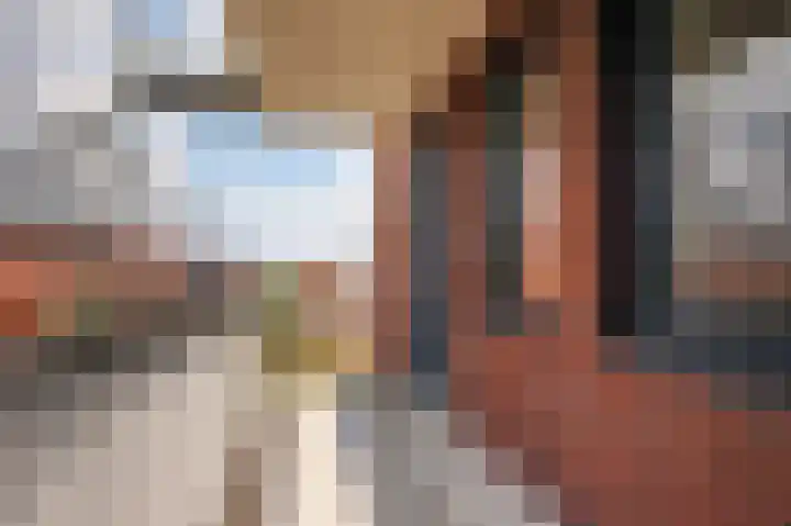 Rentambt 14 Elst thumbnail 13
