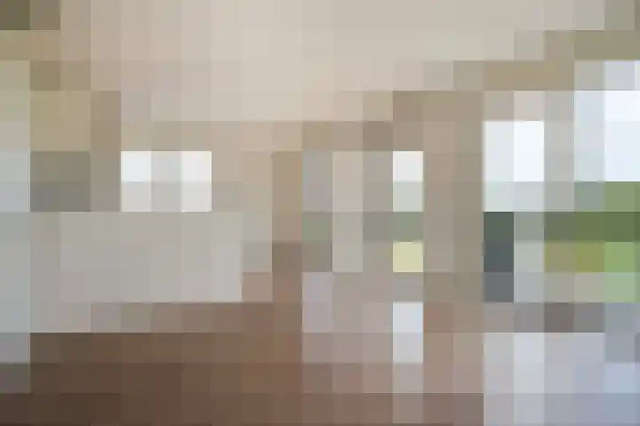 Rentambt 14 Elst thumbnail 17