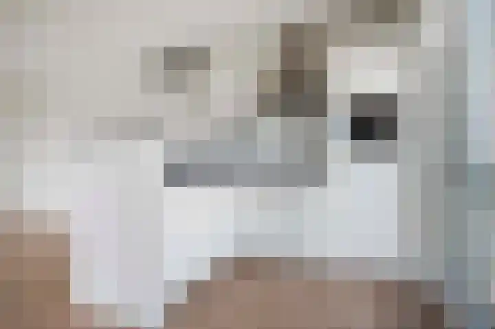 Rentambt 14 Elst thumbnail 21