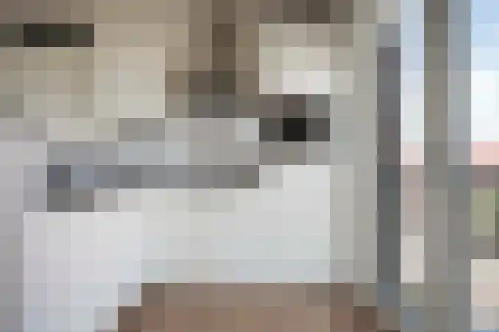 Rentambt 14 Elst thumbnail 22