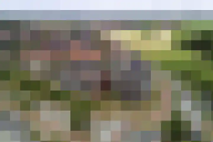 Rentambt 14 Elst thumbnail 38