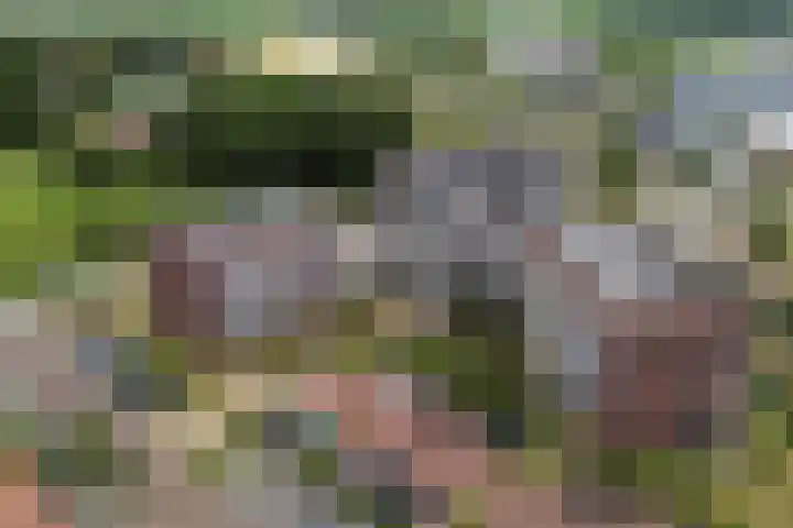 Rentambt 14 Elst thumbnail 39