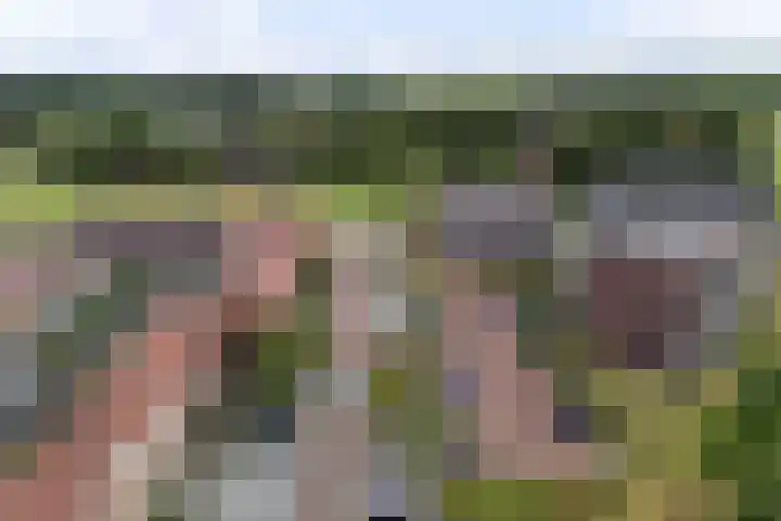 Rentambt 14 Elst thumbnail 40
