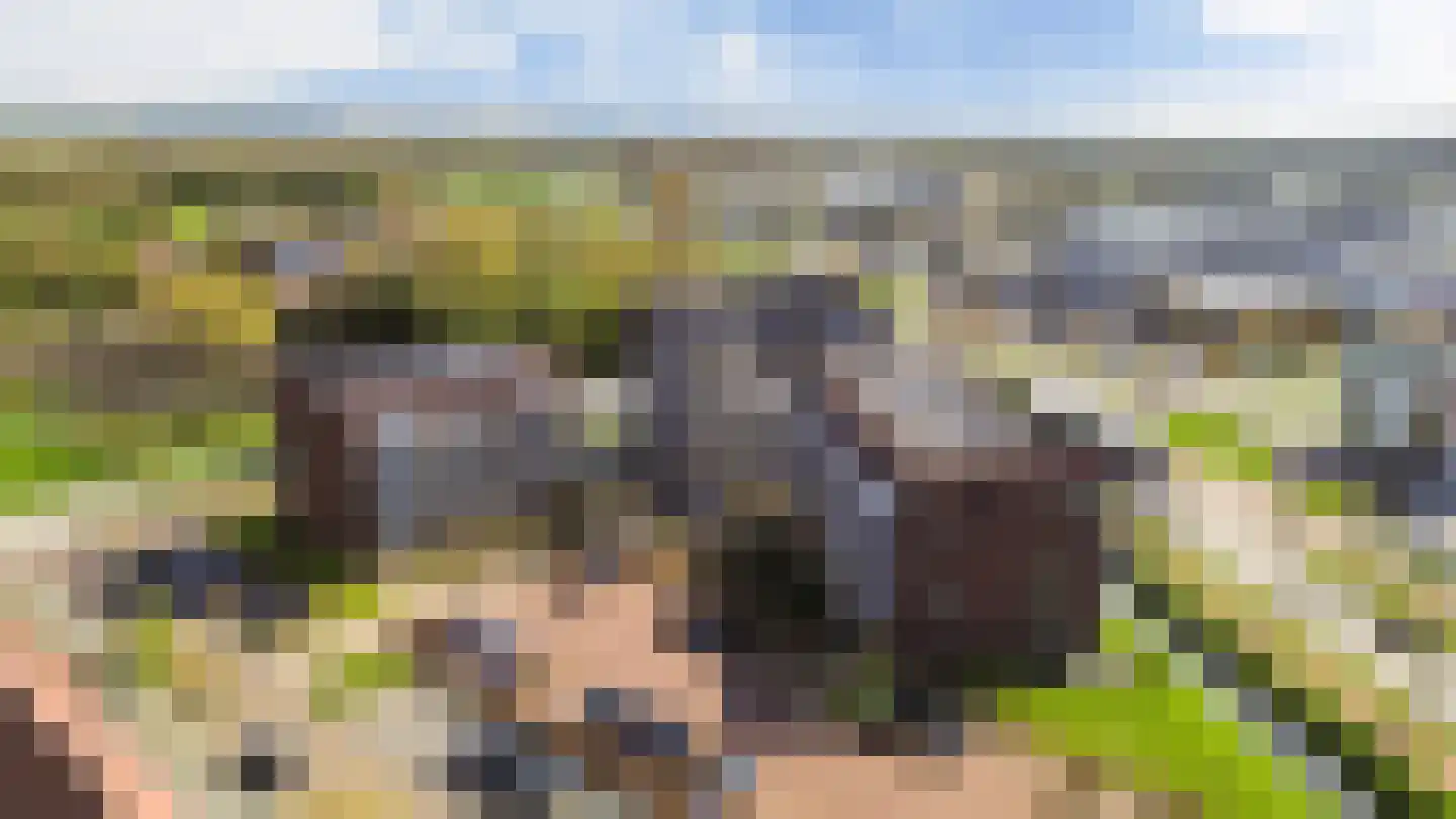 Rentambt 16 Elst thumbnail 31