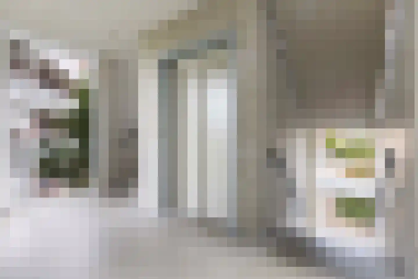 Rentambt 28 Elst thumbnail 6