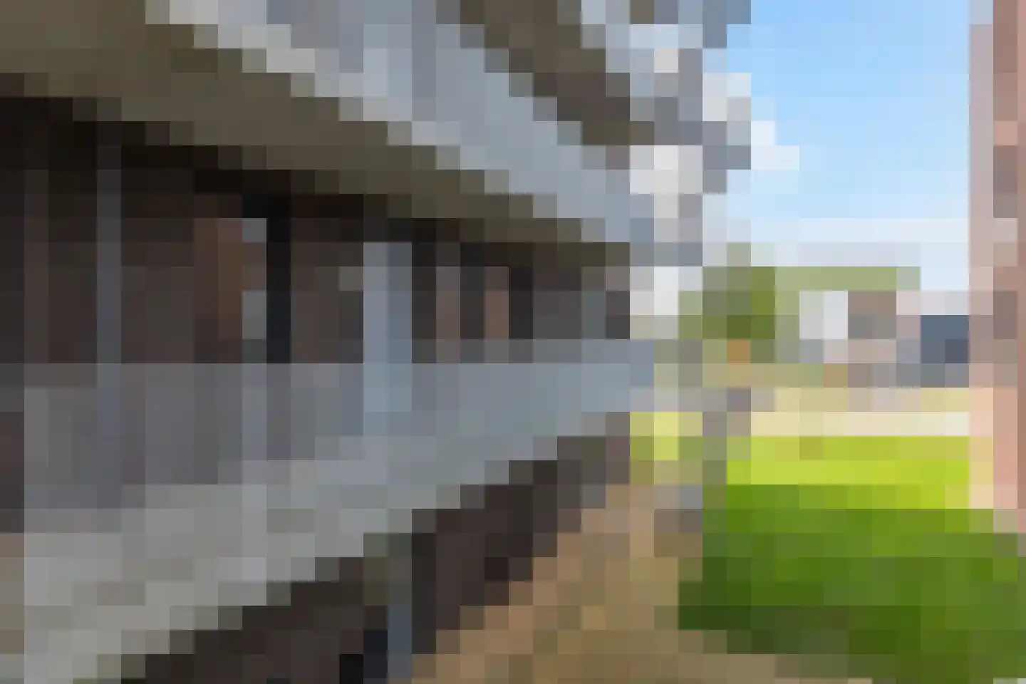 Rentambt 28 Elst thumbnail 7