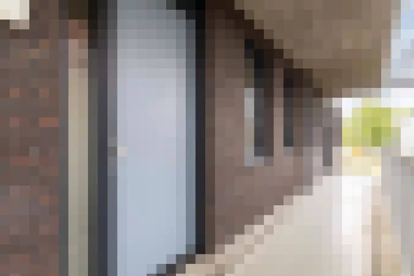 Rentambt 28 Elst thumbnail 8