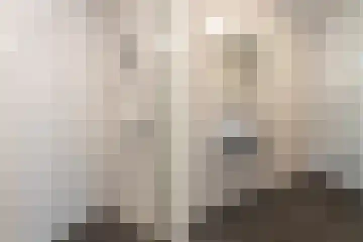 Rentambt 30 Elst thumbnail 19