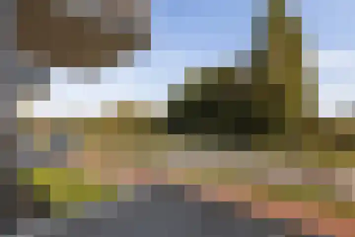 Rentambt 30 Elst thumbnail 26