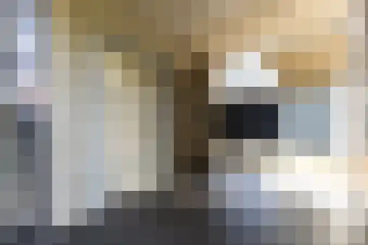 Rentambt 30 Elst thumbnail 31