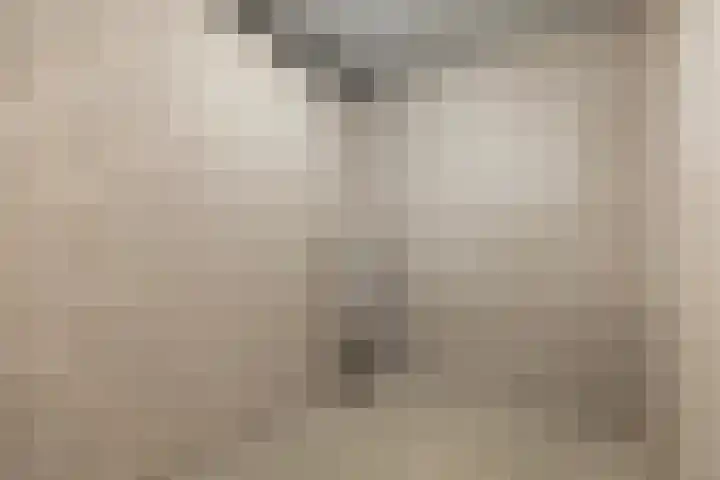 Rentambt 30 Elst thumbnail 32