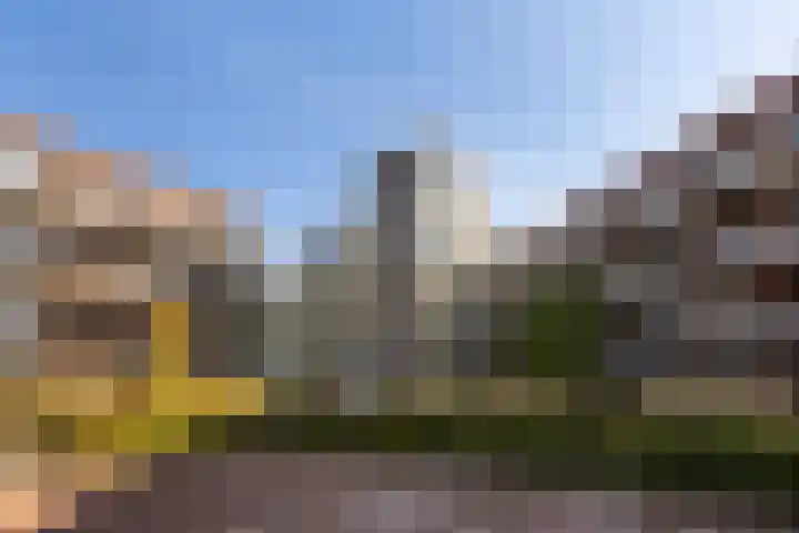 Rentambt 30 Elst thumbnail 33