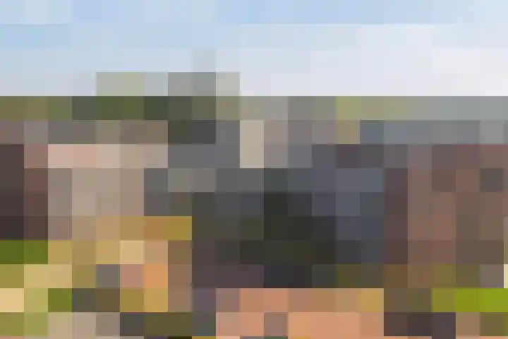 Rentambt 30 Elst thumbnail 34